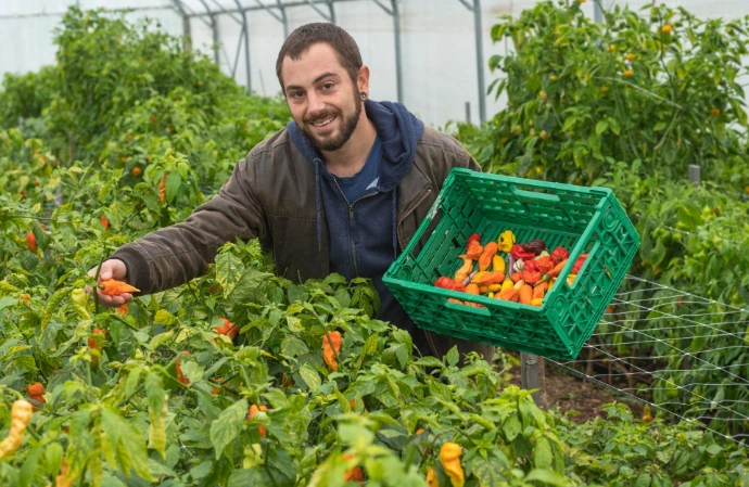 Pica et Repica - Sauces piquantes artisanales