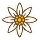 Épicerie en ligne et épicerie locale : consommer autrement avec Edelmarket